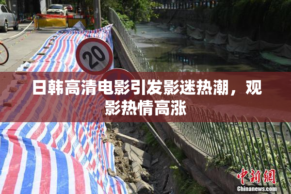 日韩高清电影引发影迷热潮，观影热情高涨