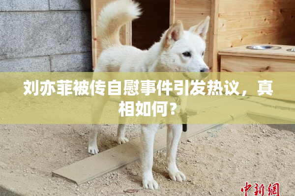 刘亦菲被传自慰事件引发热议，真相如何？