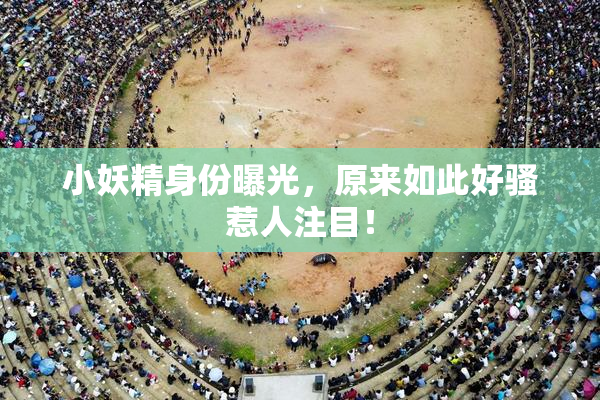 小妖精身份曝光，原来如此好骚惹人注目！