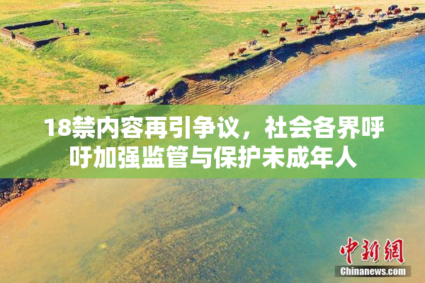 18禁内容再引争议，社会各界呼吁加强监管与保护未成年人