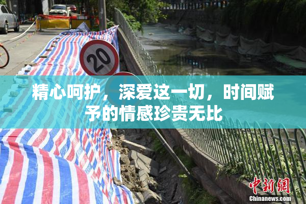 精心呵护，深爱这一切，时间赋予的情感珍贵无比