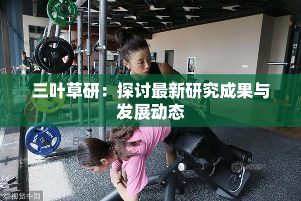 三叶草研：探讨最新研究成果与发展动态
