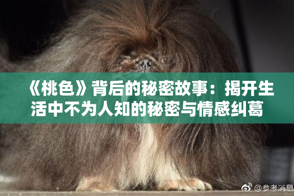 《桃色》背后的秘密故事：揭开生活中不为人知的秘密与情感纠葛