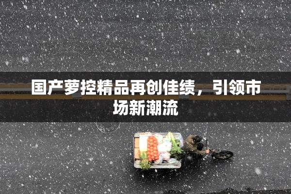 国产萝控精品再创佳绩，引领市场新潮流