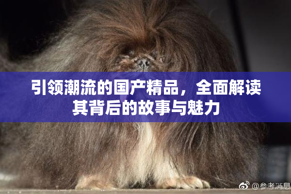 引领潮流的国产精品，全面解读其背后的故事与魅力
