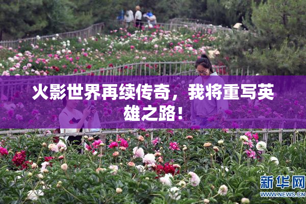 火影世界再续传奇，我将重写英雄之路！