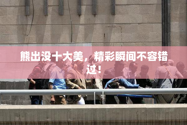 熊出没十大美，精彩瞬间不容错过！