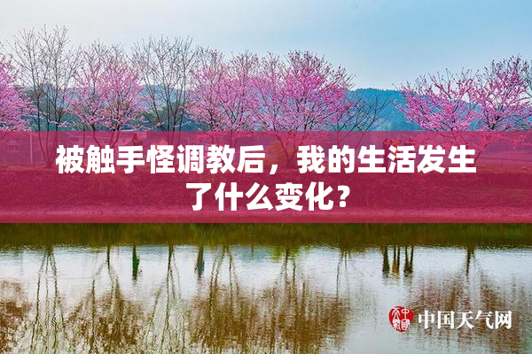 被触手怪调教后，我的生活发生了什么变化？
