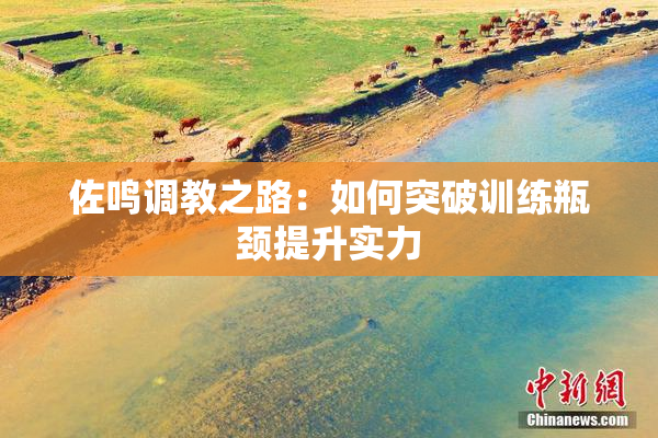 佐鸣调教之路：如何突破训练瓶颈提升实力