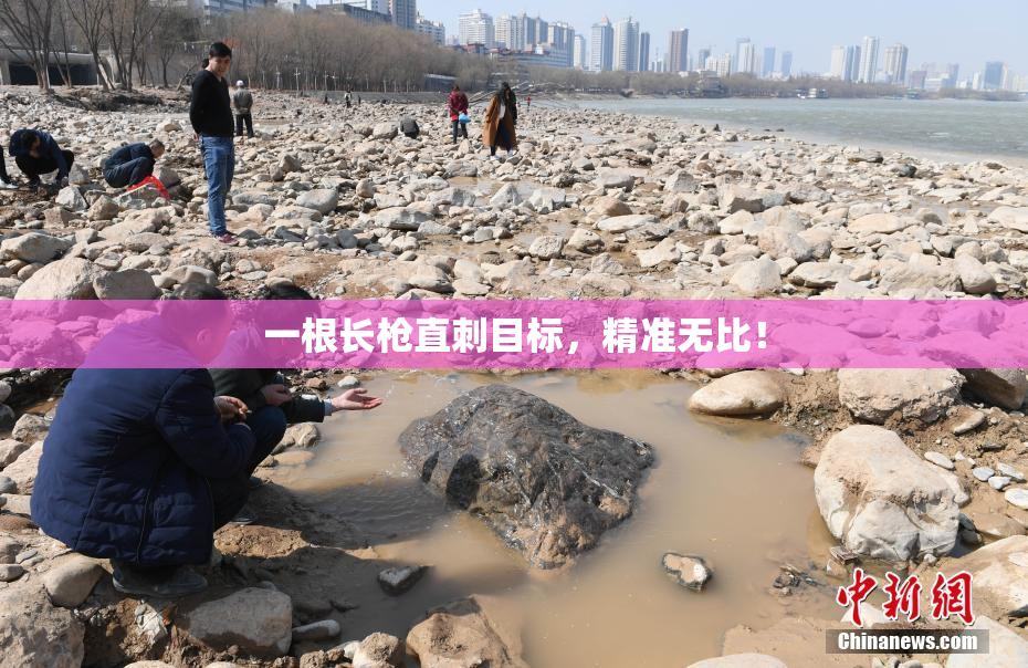 一根长枪直刺目标，精准无比！