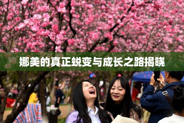 娜美的真正蜕变与成长之路揭晓