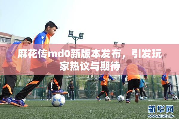 麻花传md0新版本发布，引发玩家热议与期待