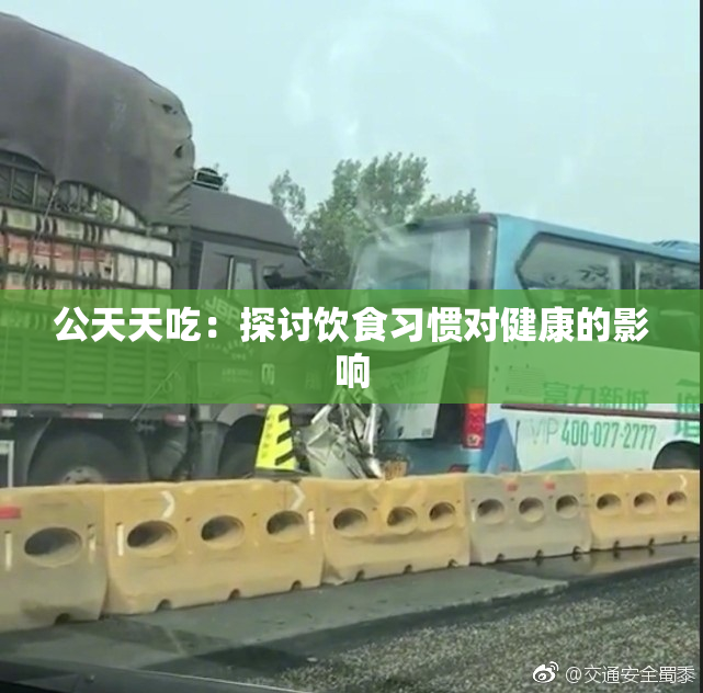 公天天吃：探讨饮食习惯对健康的影响