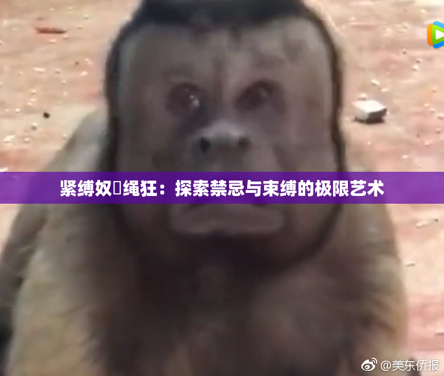 紧缚奴隷绳狂：探索禁忌与束缚的极限艺术