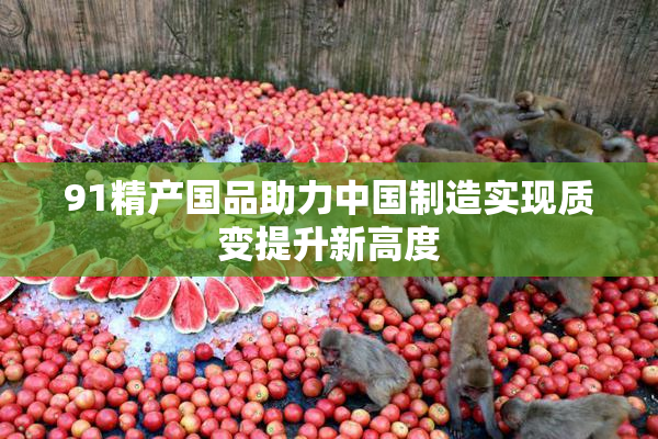 91精产国品助力中国制造实现质变提升新高度