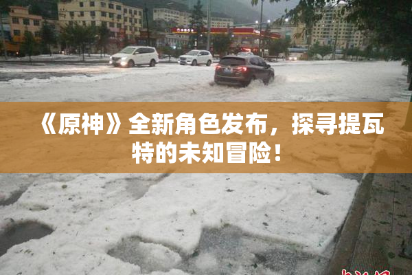 《原神》全新角色发布，探寻提瓦特的未知冒险！
