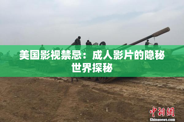 美国影视禁忌：成人影片的隐秘世界探秘