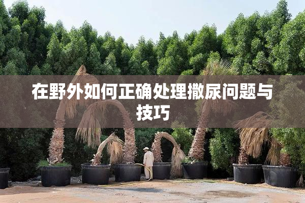 在野外如何正确处理撒尿问题与技巧