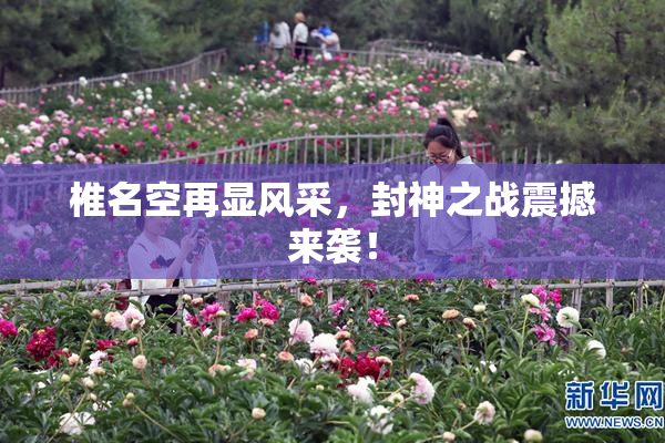 椎名空再显风采，封神之战震撼来袭！