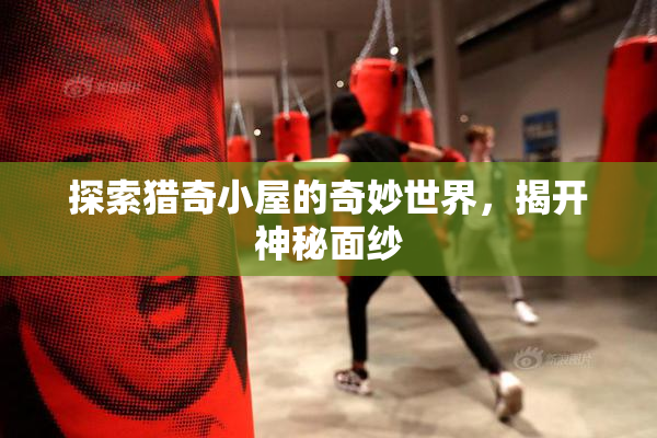 探索猎奇小屋的奇妙世界，揭开神秘面纱