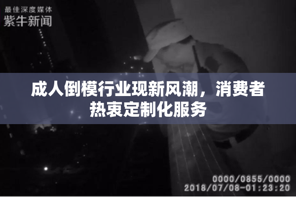 成人倒模行业现新风潮，消费者热衷定制化服务