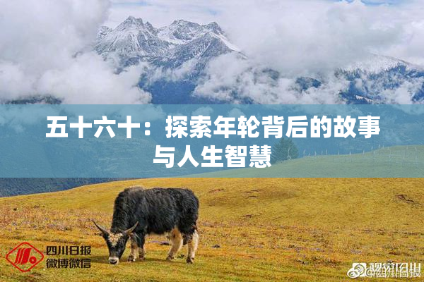 五十六十：探索年轮背后的故事与人生智慧