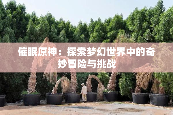 催眠原神：探索梦幻世界中的奇妙冒险与挑战