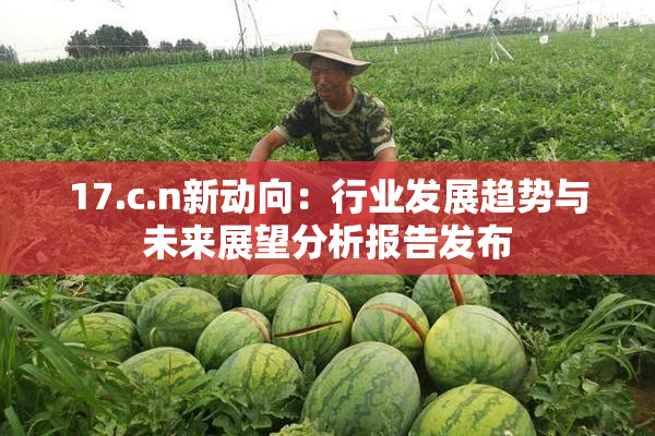17.c.n新动向：行业发展趋势与未来展望分析报告发布