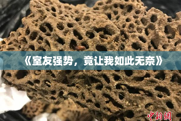 《室友强势，竟让我如此无奈》