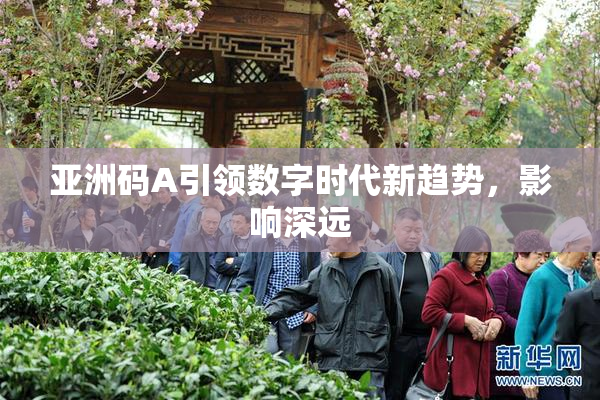 亚洲码A引领数字时代新趋势，影响深远