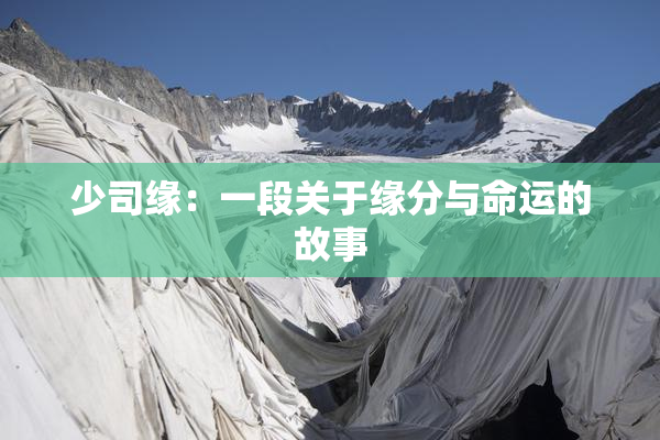 少司缘：一段关于缘分与命运的故事