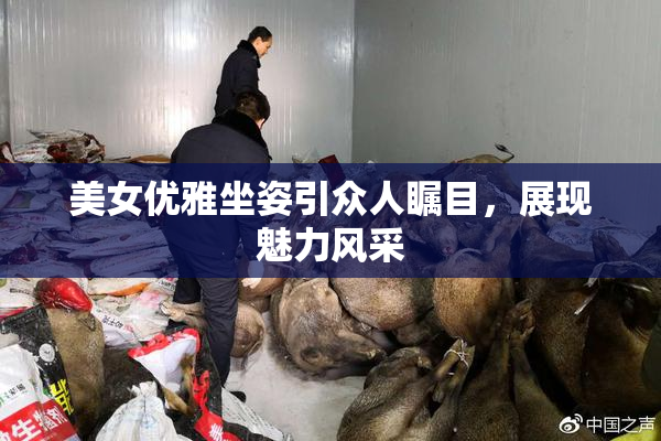 美女优雅坐姿引众人瞩目，展现魅力风采