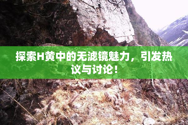 探索H黄中的无滤镜魅力，引发热议与讨论！