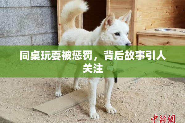 同桌玩耍被惩罚，背后故事引人关注