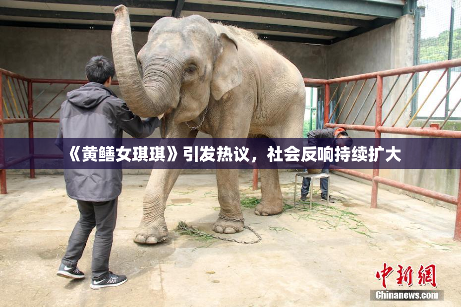 《黄鳝女琪琪》引发热议，社会反响持续扩大