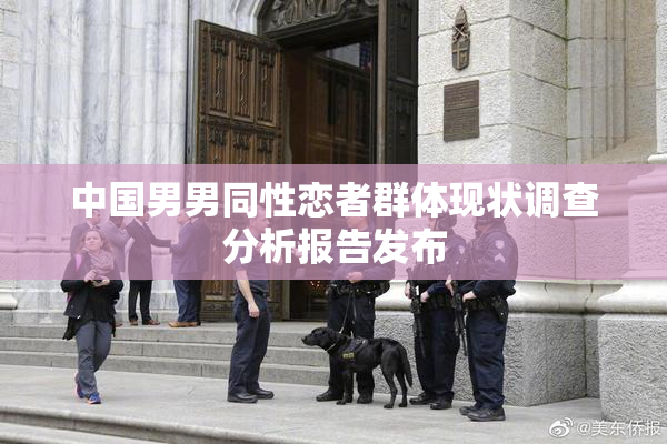 中国男男同性恋者群体现状调查分析报告发布