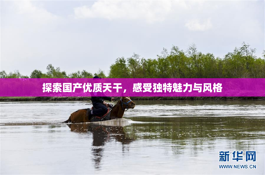 探索国产优质天干，感受独特魅力与风格