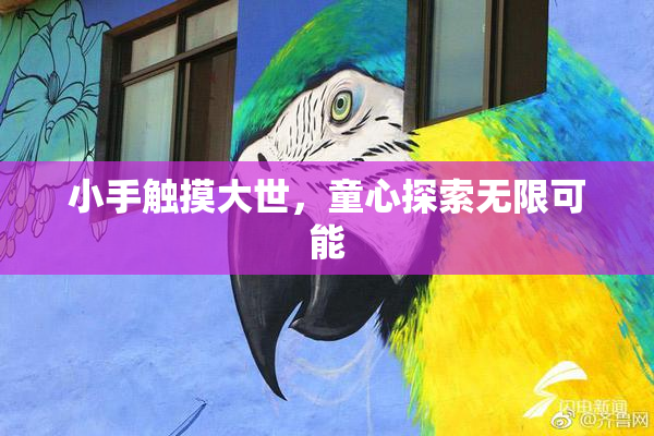 小手触摸大世，童心探索无限可能