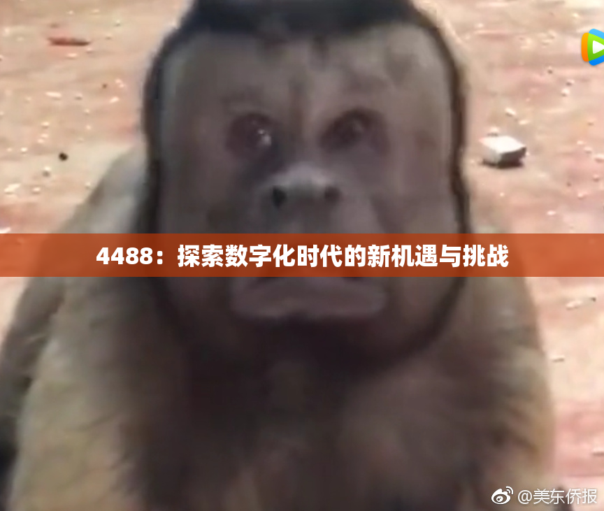 4488：探索数字化时代的新机遇与挑战