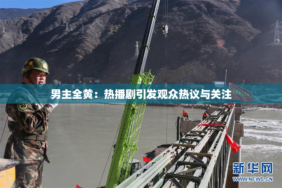 男主全黄：热播剧引发观众热议与关注