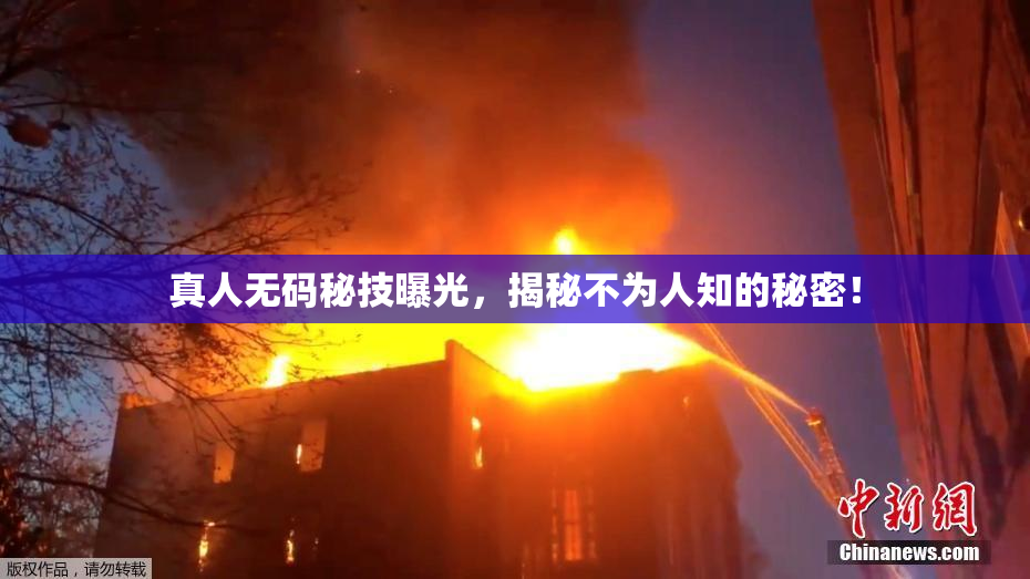 真人无码秘技曝光，揭秘不为人知的秘密！