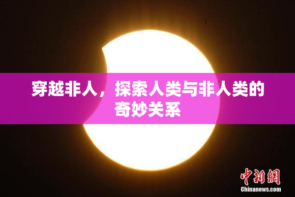 穿越非人，探索人类与非人类的奇妙关系