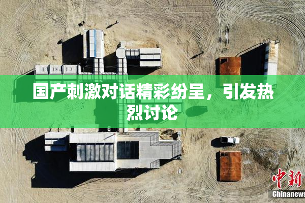 国产刺激对话精彩纷呈，引发热烈讨论