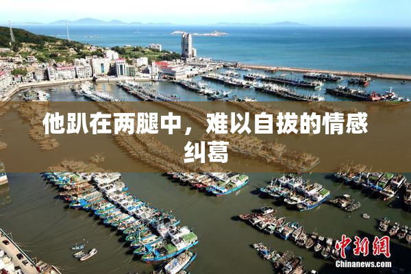 他趴在两腿中，难以自拔的情感纠葛