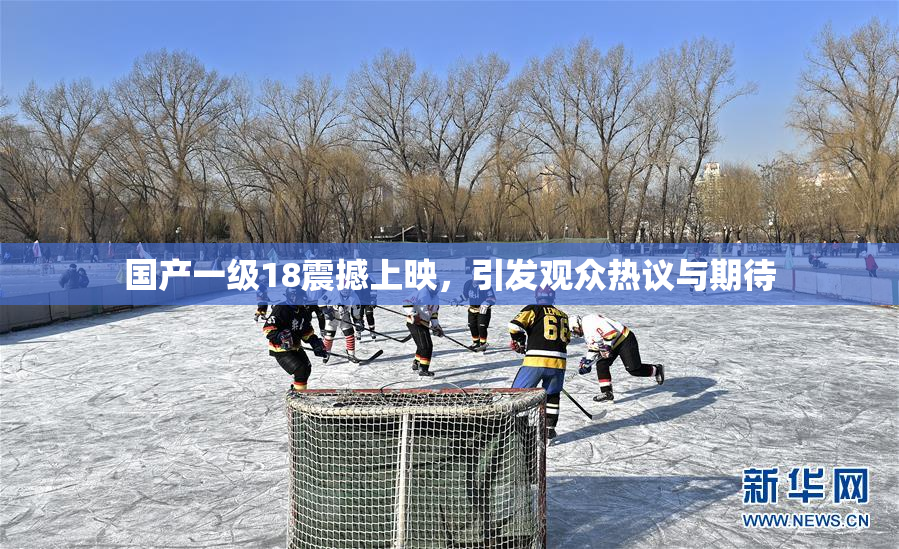 国产一级18震撼上映，引发观众热议与期待