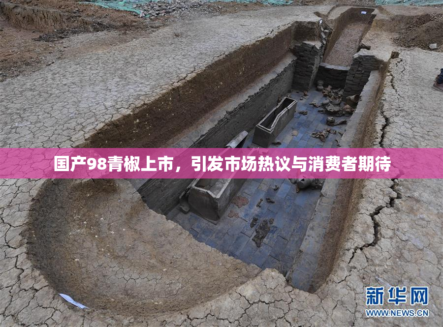 国产98青椒上市，引发市场热议与消费者期待
