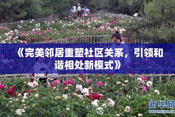 《完美邻居重塑社区关系，引领和谐相处新模式》