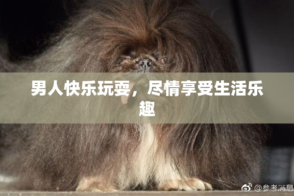 男人快乐玩耍，尽情享受生活乐趣