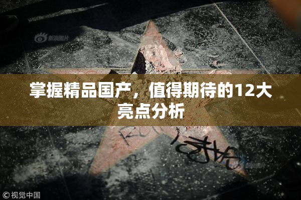 掌握精品国产，值得期待的12大亮点分析