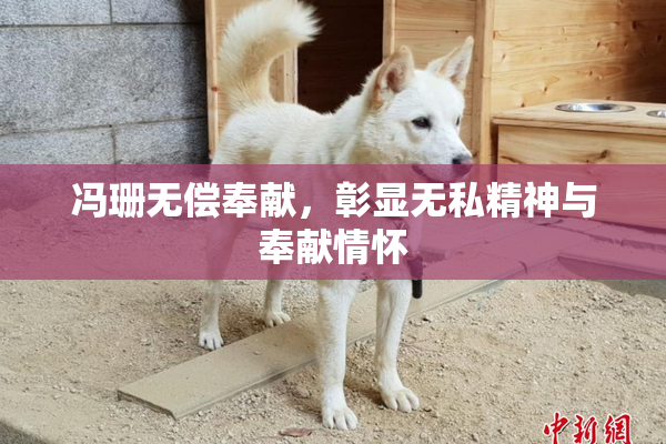 冯珊无偿奉献，彰显无私精神与奉献情怀